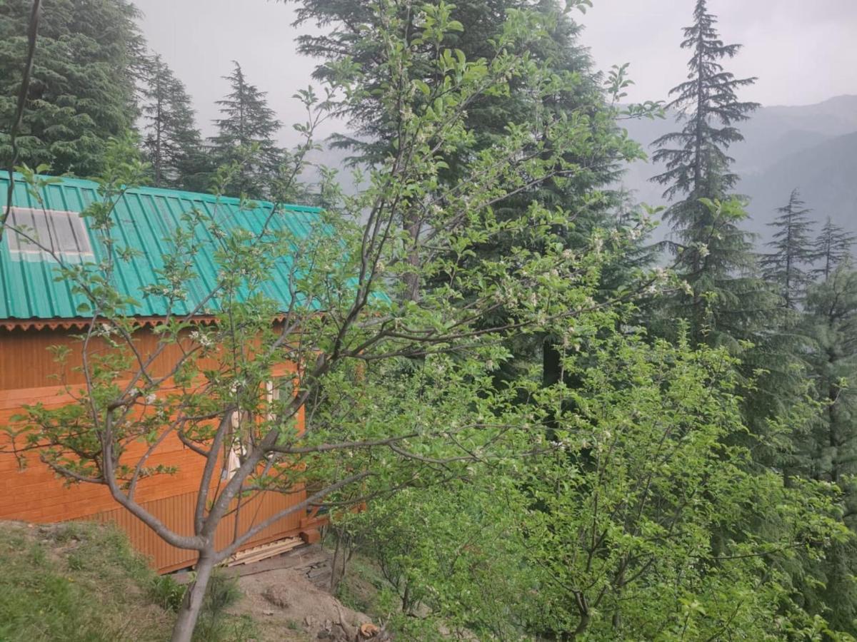Freebird Nest Jibhi Hotel Exterior foto