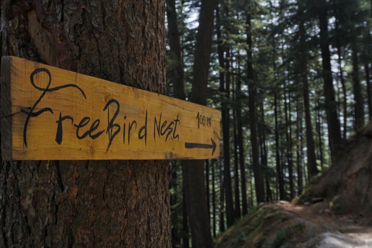 Freebird Nest Jibhi Hotel Exterior foto